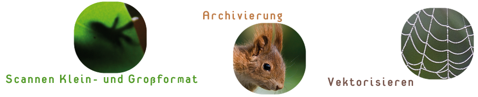 Irmschler Repro Scanservice
